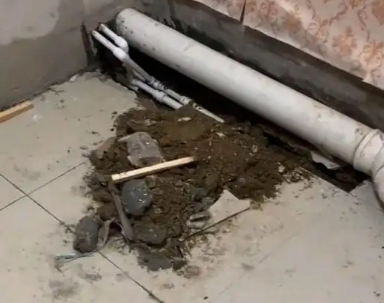 浔阳卫生间漏水检测哪家好